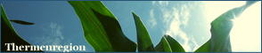 img link 2